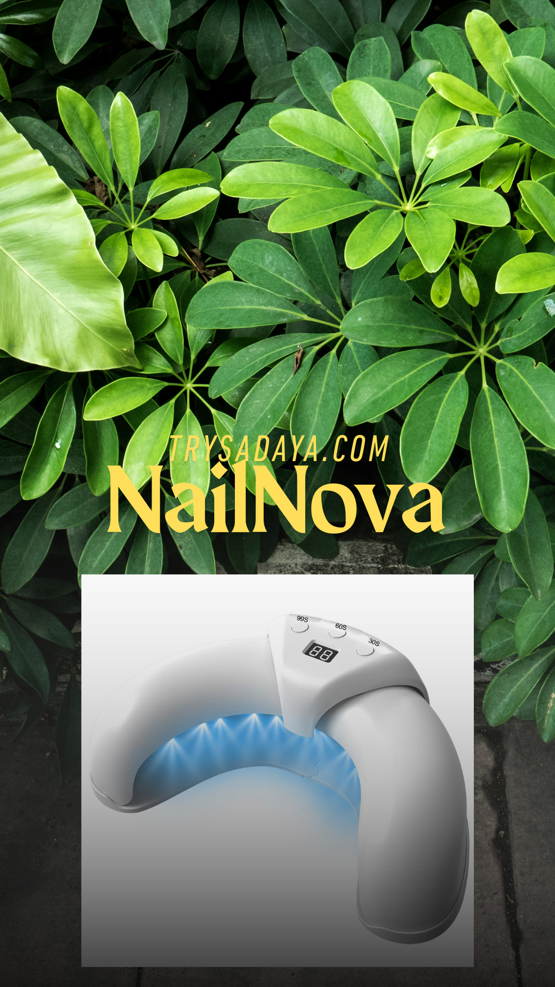 NailNova